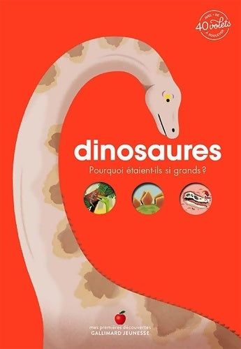 Livrenpoche : DINOSAURES - Emmanuelle Kecir-Lepetit - Livre