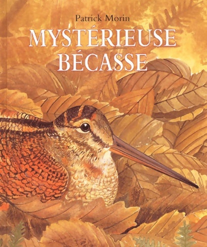 Livrenpoche : Mystérieuse bécasse - Patrick Morin - Livre