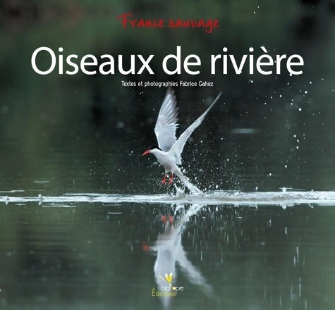 Livrenpoche : Oiseaux de rivière - Fabrice Cahez - Livre