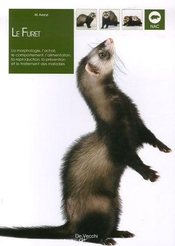 Livrenpoche : Le furet - Marta Avanzi - Livre