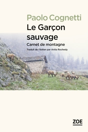 Livrenpoche : Le garçon sauvage : Carnet de montagne - Paolo Cognetti - Livre