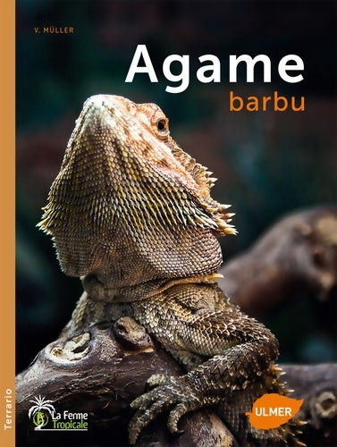 Livrenpoche : L'Agame barbu - Veronika Muller - Livre