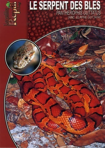 Livrenpoche : Le serpent des blés : Pantherophis guttatus - Kriton Kunz - Livre