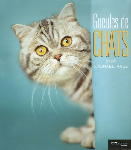 Livrenpoche : Gueules de chats (ancien prix editeur : 13 euros ) - Rachael Hale - Livre