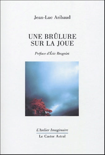Livrenpoche : Une brûlure sur la joue - Jean-Luc Aribaud - Livre