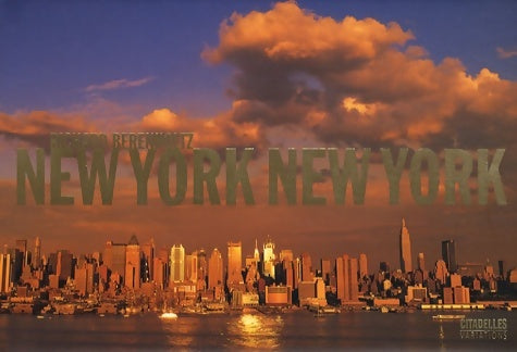Livrenpoche : New York New York - BERENHOLTZ-R - Livre