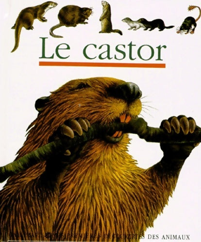 Livrenpoche : Le castor - Sylvaine Pérols - Livre
