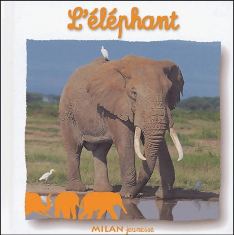 Livrenpoche : L'éléphant - Natacha Fradin - Livre