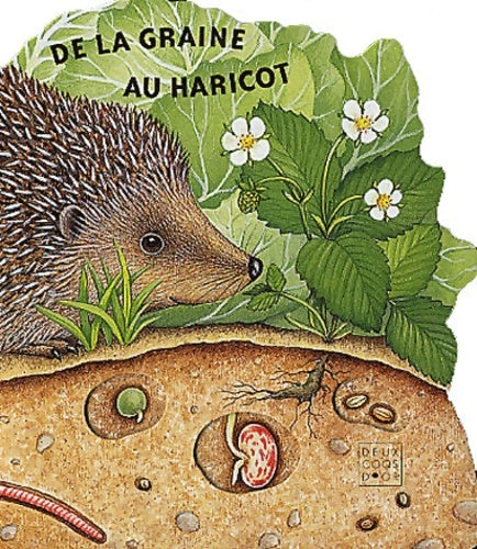 Livrenpoche : De la graine au haricot - Collectif - Livre