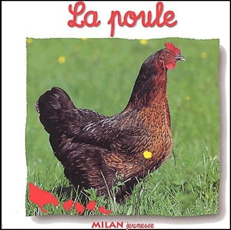Livrenpoche : La poule - Natacha Fradin - Livre