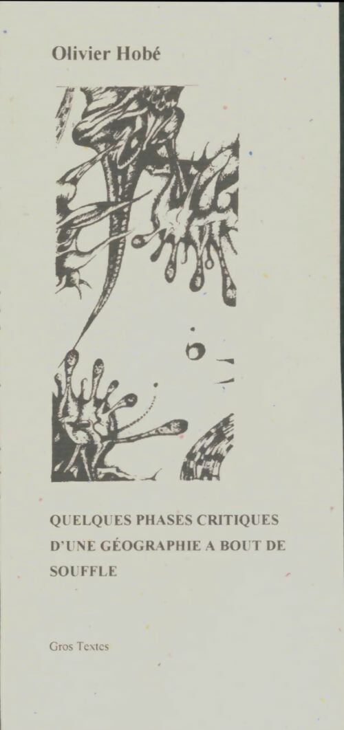 Livrenpoche : Quelques phases critiques d'une géographie à bout de souffle - Olivier Hobé - Livre