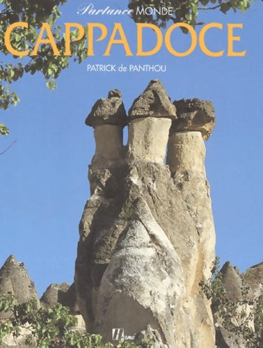 Livrenpoche : Partance monde - Patrick De Panthou - Livre