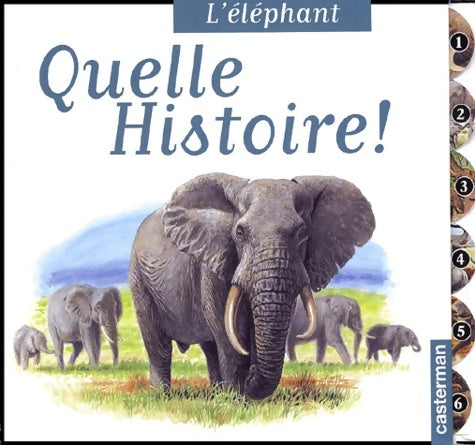 Livrenpoche : L'elephant : QUELLE HISTOIRE - Poissenot Lazier - Livre