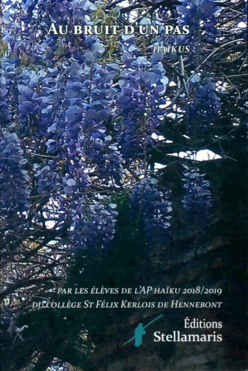 Livrenpoche : Au bruit d'un pas - Collectif - Livre