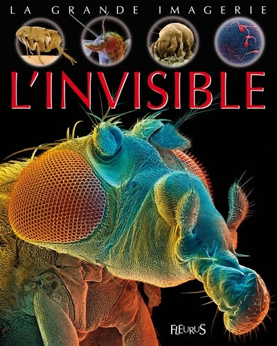 Livrenpoche : L'invisible - Christine Sagnier - Livre