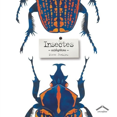 Livrenpoche : Insectes : Coléoptères - Steve Jenkins - Livre