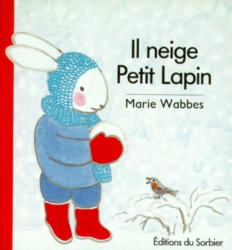 Livrenpoche : Il neige petit lapin - Marie Wabbes - Livre