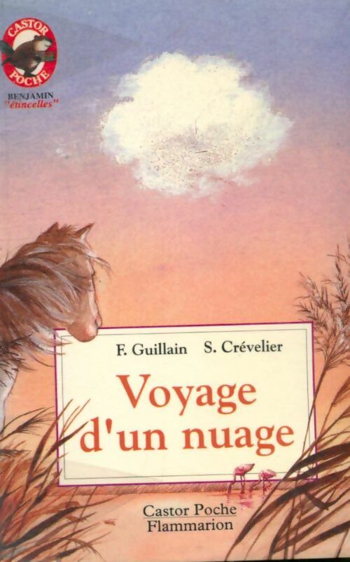 Livrenpoche : Voyage d'un nuage - France Guillain - Livre