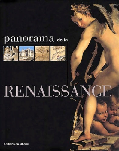 Livrenpoche : Panorama de la Renaissance - Pierre M. Reyss - Livre