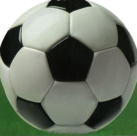 Livrenpoche : Tous fous de foot ! - Gilles Vidal - Livre