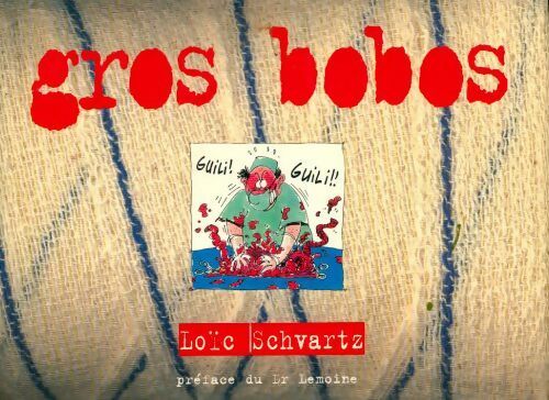 Livrenpoche : Gros bobos - Loïc Schvartz - Livre