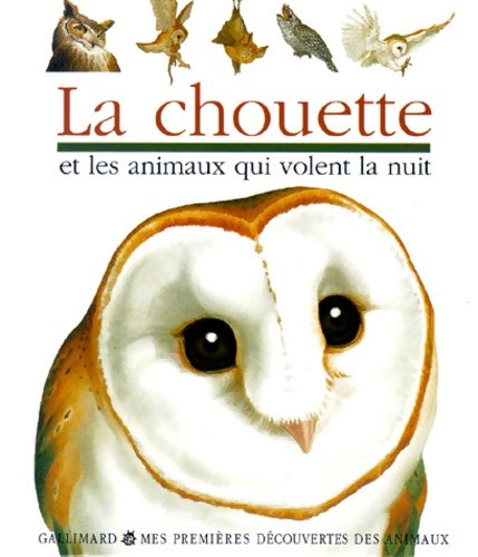 Livrenpoche : La chouette et les animaux qui volent la nuit - Collectif - Livre