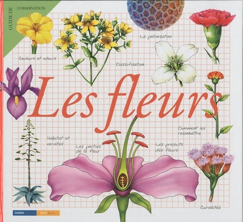 Livrenpoche : Les fleurs : Largeur = 248 mm - Maria Angels - Livre