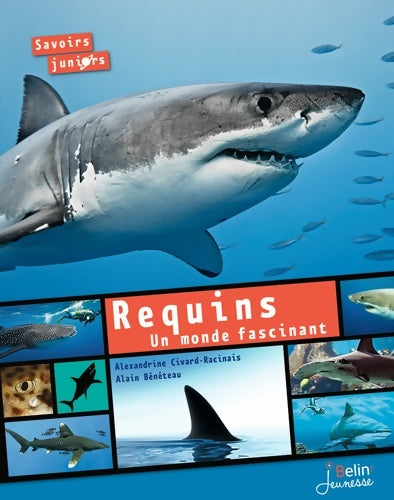 Livrenpoche : Requins : Un monde fascinant - Alexandrine Civard-Racinais - Livre