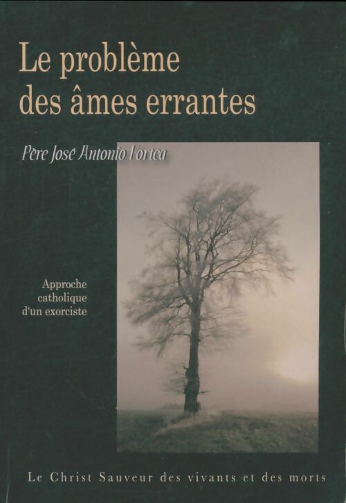 Livrenpoche : Le problème des âmes errantes - Antonio José Forte - Livre