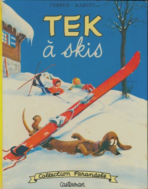 Livrenpoche : Tek à skis - Laurent Ferrer - Livre