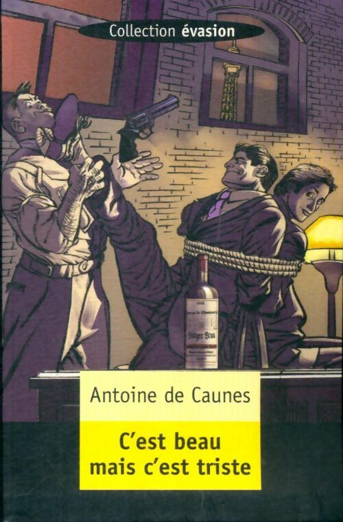 Livrenpoche : C'est beau mais c'est triste - Antoine De Caunes - Livre