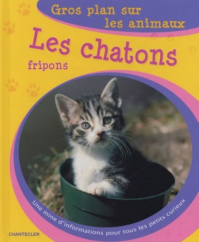 Livrenpoche : Les chatons fripons - Wan-Ling Sun - Livre