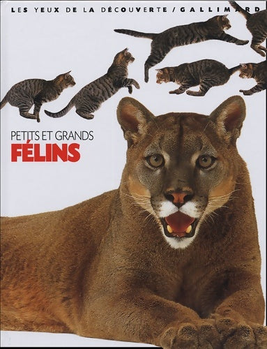 Livrenpoche : Petits et grands félins - Juliet Clutton-Brock, Clutton-Brock - Livre