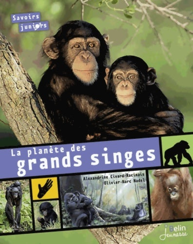 Livrenpoche : La planète des Grands Singes - Savoirs Juniors - Alexandrine Civard-Racinais - Livre