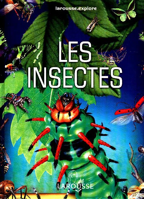 Les insectes - Matthew Robertson -  Larousse Explore - Livre