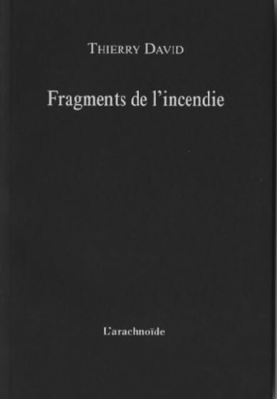 Livrenpoche : Fragments de l'incendie - Thierry David - Livre