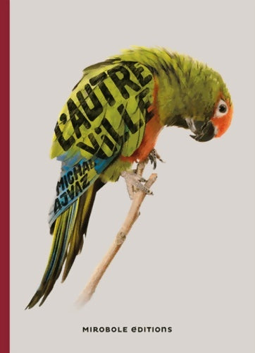 Livrenpoche : L'autre ville - Michal Ajvaz - Livre