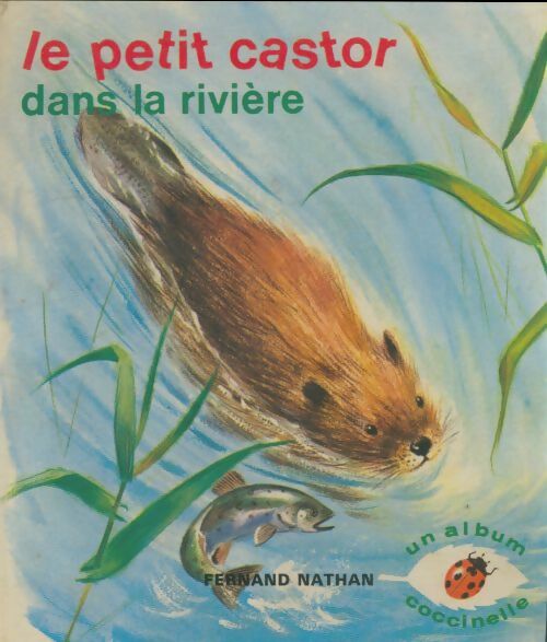Livrenpoche : Le petit castor dans la rivière - Romain Simon - Livre