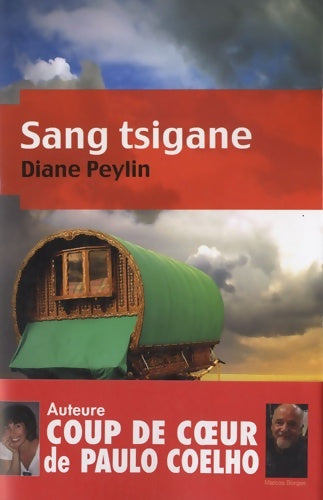 Livrenpoche : SANG TSIGANE - Diane Peylin - Livre