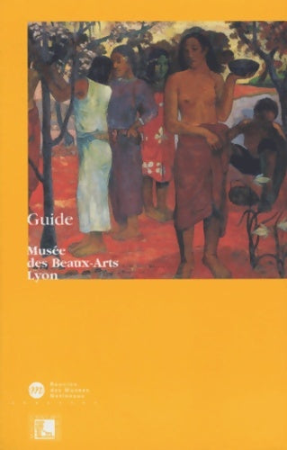 Livrenpoche : guide Musée beaux arts Lyon - Collectif - Livre