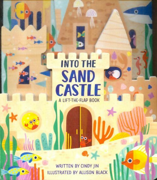 Livrenpoche : Into the sand castle - Allison Cindy; Black - Livre