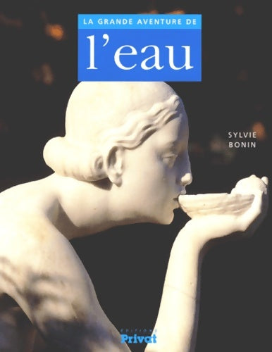Livrenpoche : La Grande Aventure de l'eau - Sylvie Bonin - Livre