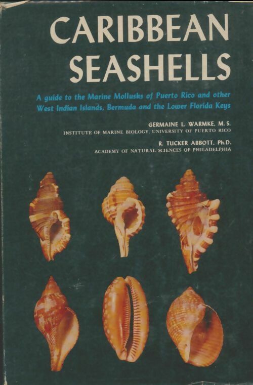 Caribbean seashells - Collectif -  Livingston - Livre