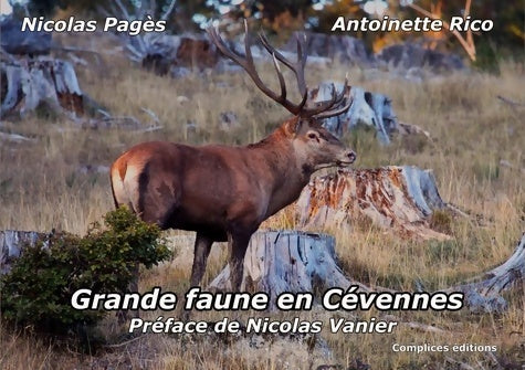 Livrenpoche : Grande faune en Cévennes - Antoinette Rico - Livre