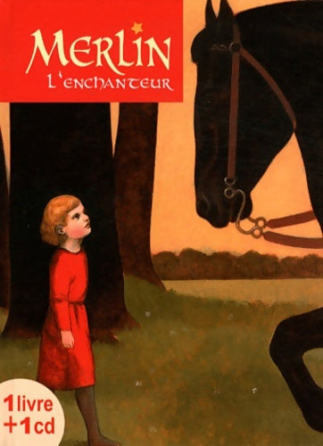 Livrenpoche : Merlin l'enchanteur - Pierre Mornet - Livre