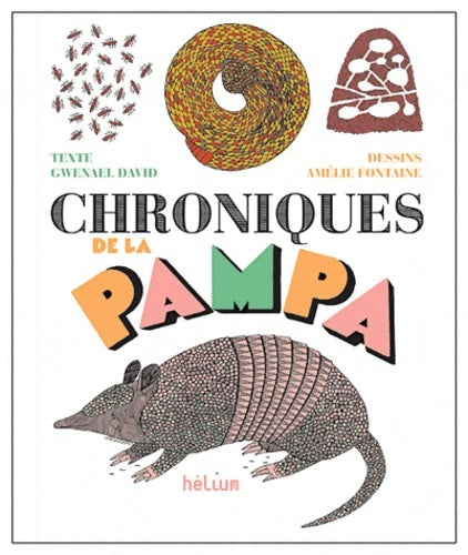 Livrenpoche : Chroniques de la Pampa - Gwenaël David - Livre