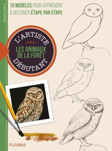 Livrenpoche : Les animaux de la forêt : 15 modèles pour apprendre à dessiner étape par étape - Sandrine Lefebvre - Livre
