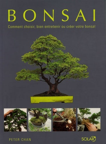 Livrenpoche : Bonsaï - Peter CHAN - Livre
