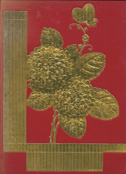 Livrenpoche : Les petits robinsons de Neuvialle - Paul Cervières - Livre