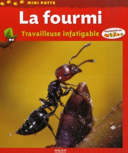 Livrenpoche : La fourmi : Travailleuse infatigable - Luc Gomel - Livre